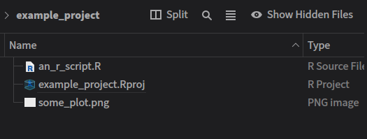 A project is just a folder with a special file (.Rproj) inside it.
It is where all the stuff you make will
be.
